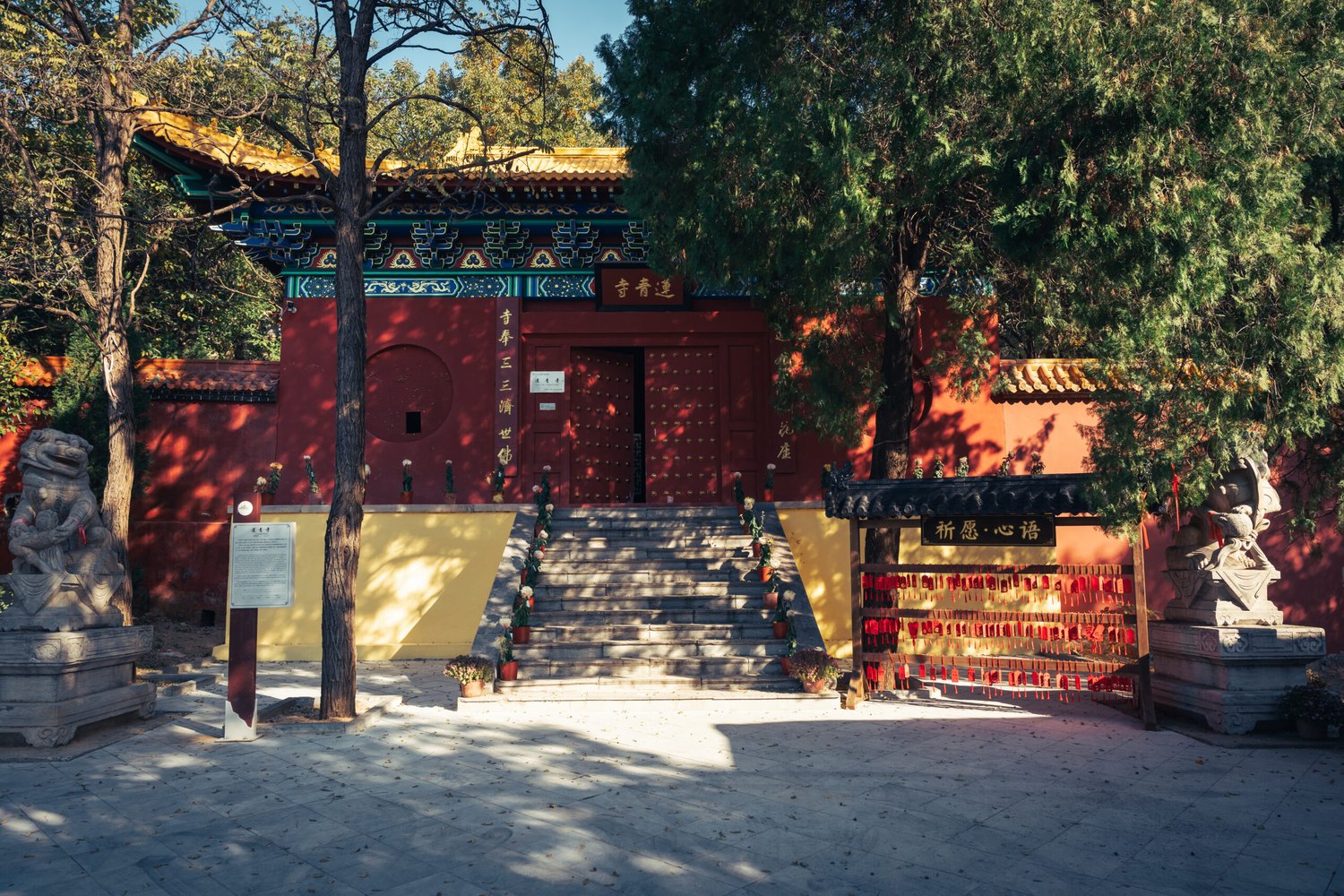 Shaolin kung fu training at Yu Kung Fu temple in China
